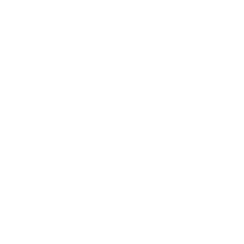 Adriana Ramos – Marketing Digital